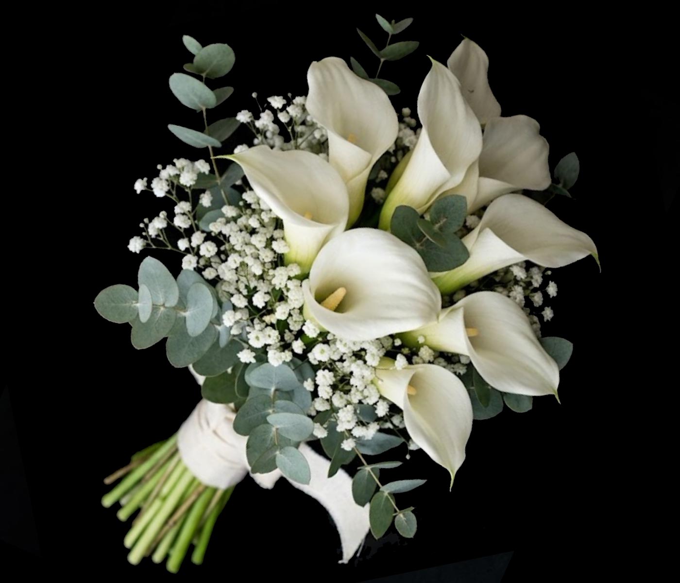 WHITE ARUM LILIES