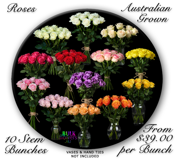 AUSTRALIAN ROSES